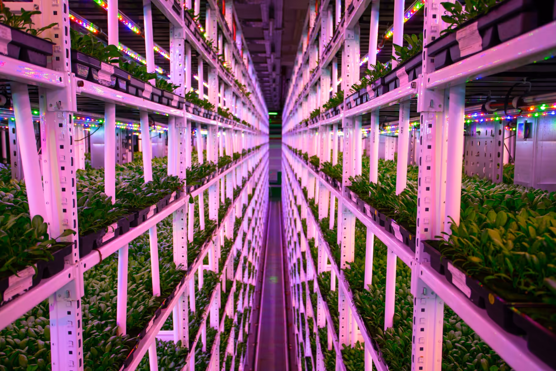About Dirk Vandenhirtz, AixPoint founder and AgTech entrepreneur